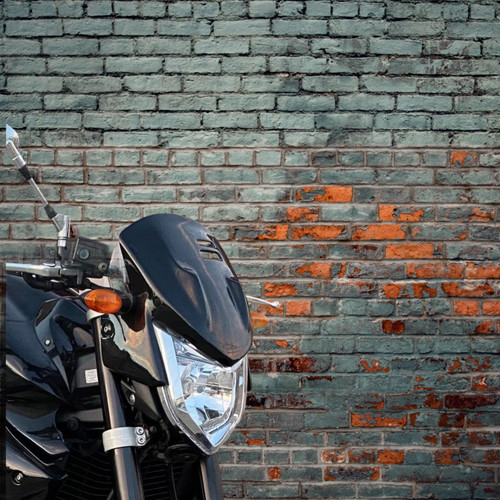 Yamaha fz1 cupula - cupula, wind